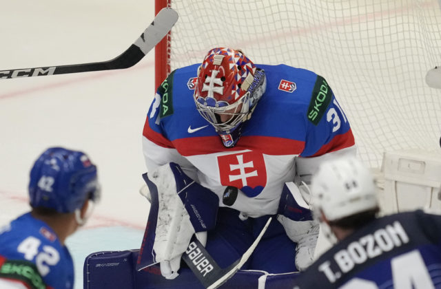 10025508 czech republic ice hockey worlds 29782